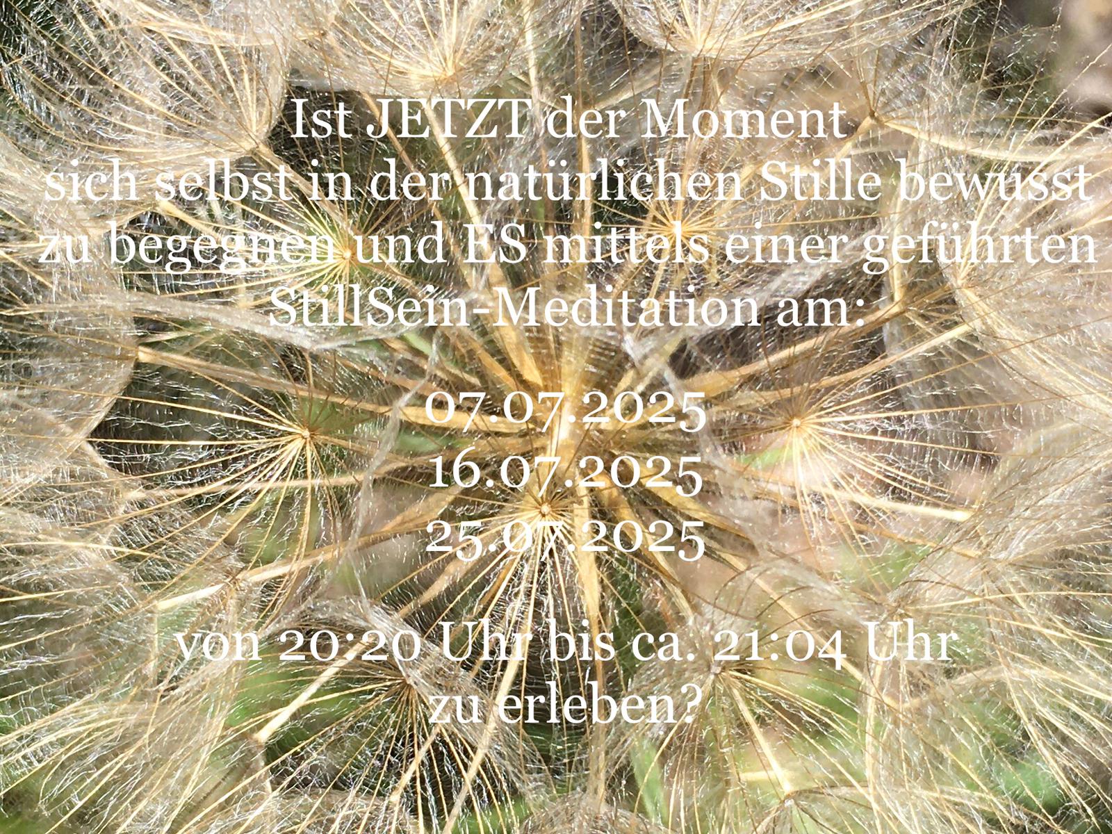StillSein
